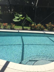 13607053_638753049607610_849466062548708744_n